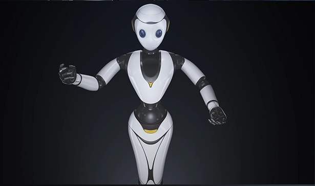 Intelligent robot